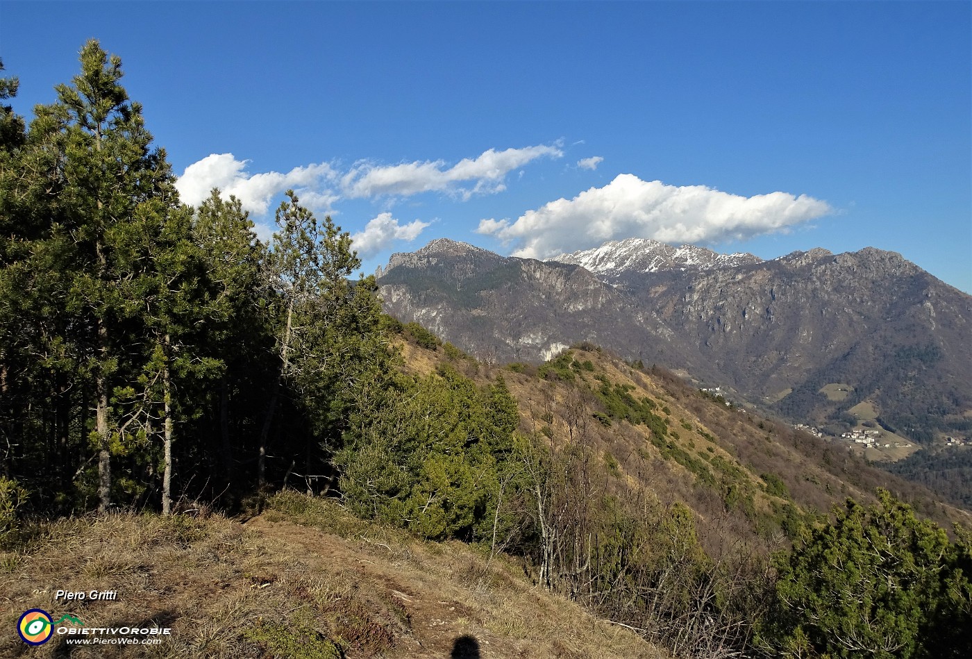 57 In salita al Pizzo Rabbioso tra pini mughi ad alto fusto.JPG